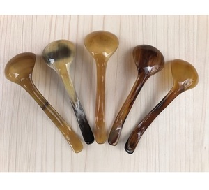 Cuillère en corne de buffle naturelle, fabriquée à la main et polie, parfaite pour servir des condiments d'épices ou une table décorative - Product Image 1