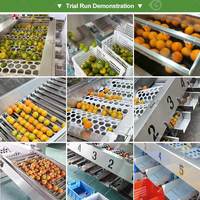 Fruit Ui Tomaat Citrus Kwaliteit Jujube Industrieel Groente Sorteermachine en Droogmachine