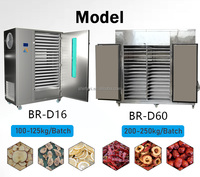 Industriële Commerciële Voedsel Dehydrator/Groente Fruit Drogen Machine/Fruit Droger Leverancier