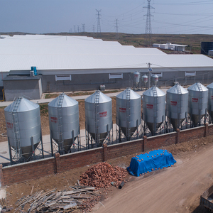 Durable Galvanized Feed Central Feeding Silo For 10000 Sows Pig <b>Farm</b> - Product Image 1