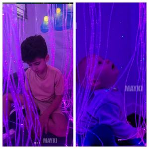 Tenda in Fibra Ottica Sensoriale per Terapia dell'Autismo e Bisogni Speciali, Cascata LED Multicolore, Attrezzatura Tattile - Product Image 5