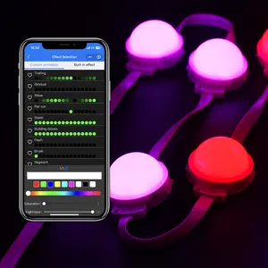 DC 48V IP68 Wasserdichte Pixel RGB Beleuchtung Smart Wifi dekorative LED-Leuchten Weihnachts hof Dekorationen mit LED-Leuchten