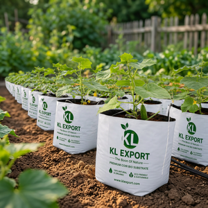 Bloc de tourbe blanc durable et biodégradable, conçu pour la culture en serre et en extérieur de légumes, fleurs et herbes - Product Image 3