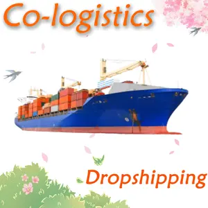 best international ocean shipping rate forwarder company to Georgia