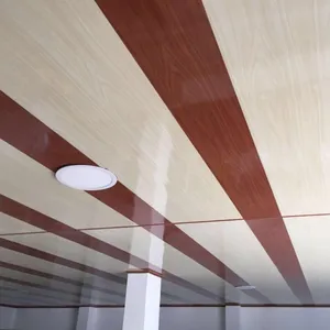 Panel de techo decorativo de pvc elástico, resistente al agua, china