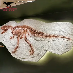 手工玻璃纤维浮雕恐龙骨架化石展览模型