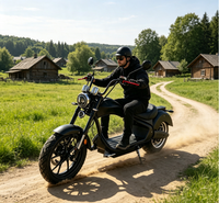 Scooter électrique DOT EEC à double siège E-Chopper Citycoco 2000W/4000W, autonomie de 60 km, trois vitesses réglables