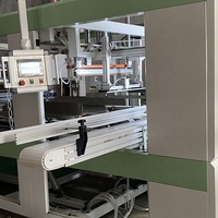Système de mise en sac semi-automatique manuel pour bouteilles vides, ensacheuse de bouteilles vides en PP, PE, PET, HDPE, film PE, machine d'emballage de sacs en plastique pour bouteilles vides