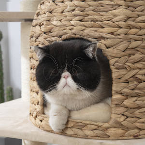 Pohon kucing daun pisang alami multi-lapis, penggaruk kucing terintegrasi kolom Sisal tahan aus - Product Image 1