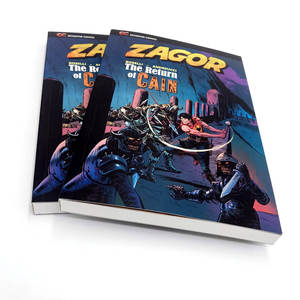 Livres de bandes dessinées et mangas graphiques personnalisés de haute qualité, couverture souple, reliure parfaite, écologiques, avec estampage à chaud argenté, vente en gros - Product Image 5