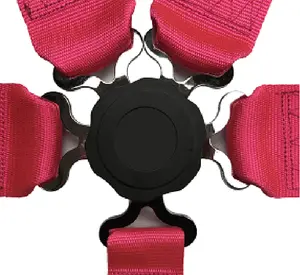 Cinto de Segurança de Corrida SFI de Alta Qualidade com <span class=keywords><strong>5</strong></span> Pontos - Product Image 2