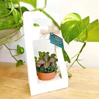 Boîte à fleurs portable personnalisée avec logo imprimé, recyclable, emballage pour fleurs de la fête des mères, boîtes cadeaux en papier pliables