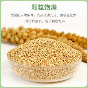 Alimentation pour oiseaux Millet, céréales naturelles pour perroquets, perruches, munias, nourriture pour animaux de compagnie, écologique, forme arrondie, 500g, 1000g, 2500g, 4000g, 1200ml - Product Image 4