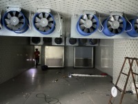 Salle de séchage à faible consommation d'énergie, déshydrateur alimentaire, idéal pour sécher des tranches de papaye, de citron, de pêche et de noix de coco