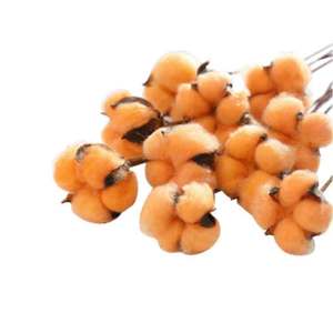 DIY Natural Dried <strong>Cotton</strong> <strong>Stems</strong> Artificial Flower Wedding Party Long Life Decor - Product Image 6