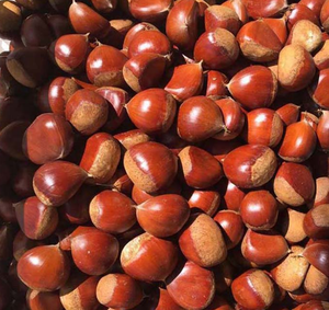 เครื่องคัดแยกสีเฮเซลนัทพร้อมรีโมทควบคุมไร้สาย - Product Image 5