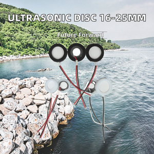 <strong>Ultrasonic</strong> Piezoelectric Atomizing <strong>Transducer</strong> Humidifier 1.7MHz 2.4MHz Zirconium Oxide Ceramic Disc 16mm/20mm/25mm Model 084 - Product Image 2