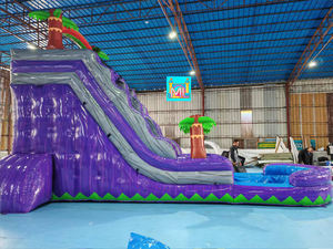 <span class=keywords><strong>Grand</strong></span> toboggan aquatique gonflable commercial à deux voies, bleu, avec <span class=keywords><strong>palmier</strong></span> cocotier, pour la cour, avec piscine pour adultes - Product Image 5