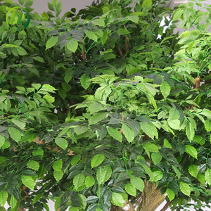 Tùy chỉnh sợi thủy tinh thân cây Nhân tạo Kích thước khác nhau lớn Faux <span class=keywords><strong>Tree</strong></span> cây xanh giả cây trang trí cho trong nhà ngoài trời - Product Image 4