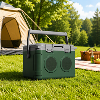 Enceinte portable 21L avec glacière chauffante et refroidissante pour pique-nique en extérieur, plage, voyage, maison, bar, hôtel, camping, voiture