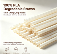 Pailles jetables biodégradables personnalisables en fibres végétales PLA et bagasse pour café, jus, bars et fêtes
