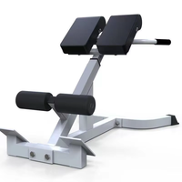 Support de fitness multifonctionnel, banc d'hyperextension réglable, machine d'extension du dos à 45 degrés, chaise romaine-pointes de chèvre