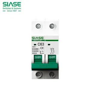 SIASE Brand DZ47t series MCB 100a outdoor box mcb