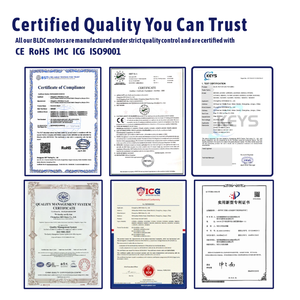 고토크 24V 60W 120W 200W 250W 브러시리스 <span class=keywords><strong>DC</strong></span> 웜 기어 모터 RV 잔디 깎는 기계용 셀프락킹 - Product Image 6