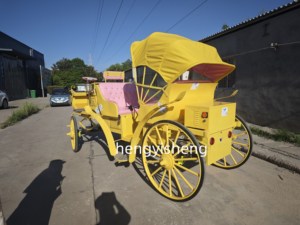 Carruaje de caballos eléctrico de acero de 4 ruedas romántico transporte DE BODA especial a la venta - Product Image 5