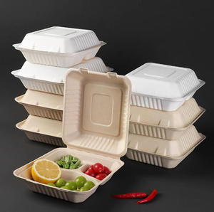 Boîtes repas jetables en pulpe de canne à sucre, compostables et compatibles micro-ondes, pour salades, camping et fêtes - Product Image 3