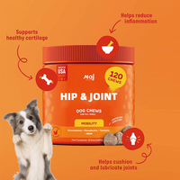 Complément alimentaire pour chiens à la saveur de foie, formulé par des vétérinaires, pour le soutien des articulations, 90 comprimés à mâcher souples, aide professionnelle pour les hanches et les articulations