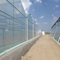 Serre de culture de légumes résistante à la chaleur estivale avec un taux d'ombrage de 75 % offrant un bon effet de refroidissement