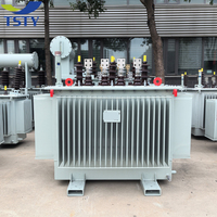 Transformateur de puissance immergé dans l'huile TSTY CE 50KVA 100KVA 200KVA 250KVA 300KVA 400KVA 500KVA pour système de distribution
