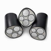 Câble d'alimentation YJLV22- 0.6/1kV 3*95+2*50 à conducteurs en aluminium, isolation XLPE, gaine en PVC, blindage en ruban d'acier, pour installation directe en terre