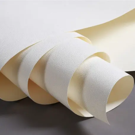 Carta da parati stampabile in bianco con solvente antigraffio Eco per decorazione domestica