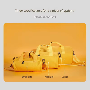 กระเป๋าเดินทางแบบดัฟเฟิลขนาดเล็กสำหรับออกกำลังกายและเดินทาง  แบบ unisex  ขายส่ง  รับทำโลโก้  กันน้ำ  วัสดุผ้า Oxford  ปิดซิป  แฟชั่นสำหรับเด็ก - Product Image 4