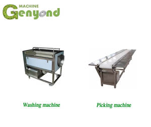 Freidora al Vacío para Frutas <span class=keywords><strong>y</strong></span> Verduras en Promoción - Product Image 2