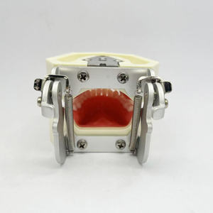 سعر المصنع = للعلوم الطبية لممارسة طب الأسنان 28 نموذج إعداد الأسنان - Product Image 4