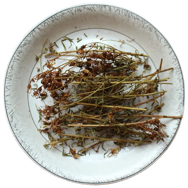 प्राकृतिक कच्चे Hypericum perforatum सूखे सेंट जॉन पौधा स्टेम और पत्ती चाय