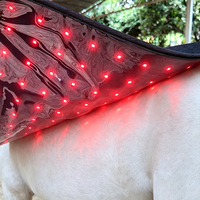 Envoltura de Terapia LED XL Equine de 70x180cm para Caballos de Raza Completa