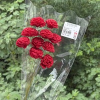 Grosir DIY bahan bunga eukaliptus KERING & bunga Sola buatan untuk dekorasi rumah Paskah untuk perayaan musim semi