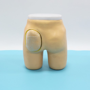 Enseignement médical Modèles avancés d'<span class=keywords><strong>injection</strong></span> <span class=keywords><strong>intramusculaire</strong></span> fessière et modèles de structure anatomique Ressources infirmières - Product Image 4