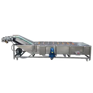 CE approved hot sale Rosehip Berries Washer Mangosteen Cleaning Line Tiesa Fruit Washing Machine