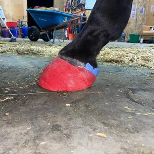 Top Seller 3 Inci 4Yard Equine Hoof Cast untuk Perawatan Kuda <span class=keywords><strong>Vet</strong></span> <span class=keywords><strong>Wrap</strong></span> Perban Tape untuk Kuda - Product Image 2