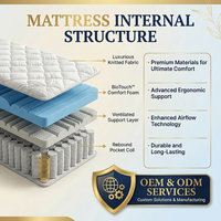 Matelas hybride Queen King Size avec surmatelas en mousse et ressorts ensachés, hypoallergénique, confortable, compressé et roulé dans une boîte