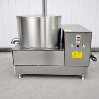 Energiebesparende ontvettingscentrifuge / ontwateringsmachine voor frieten/aardappelchips