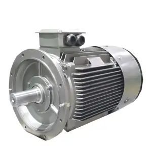 50HZ Totally Enclosed Low Voltage 3 Phase AC Asynchronous Motor