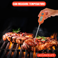 Termometer BBQ Digital penggunaan makanan lubang gantung dengan tampilan LCD ABS harga pabrik