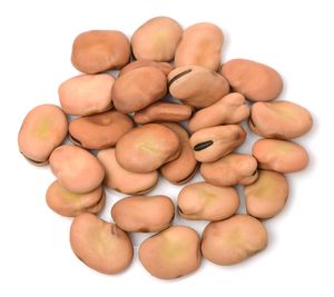 Fourniture en usine de fèves en conserve Faux Medames Arabic America Market OEM de haute qualité - Product Image 5