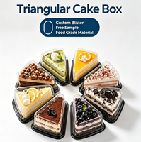 Boîte à gâteau triangulaire personnalisée en blister, en plastique transparent de qualité alimentaire PET/PS, contenant jetable pour tranches de mousse, cheesecake, dessert, pour les boutiques de desserts